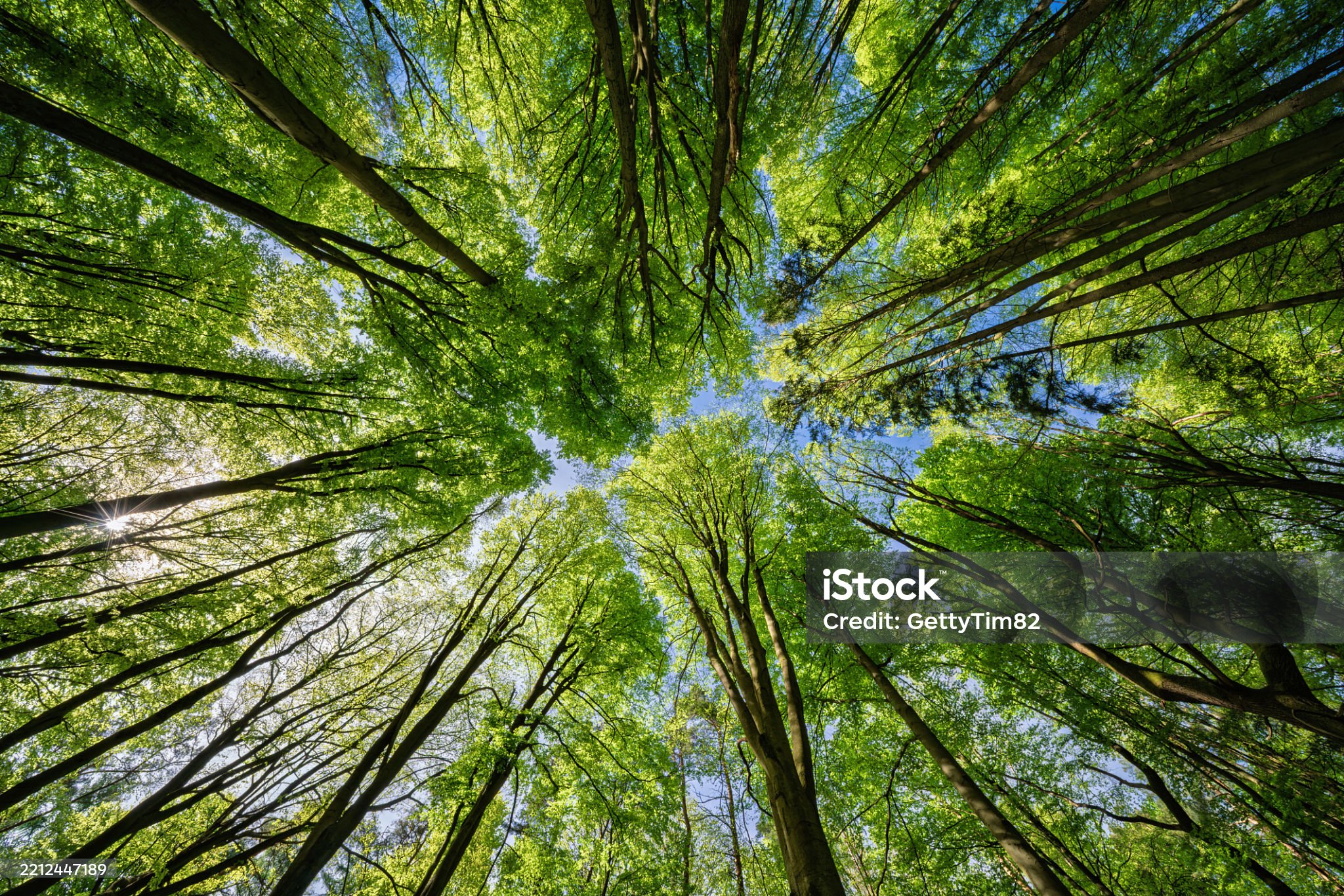 istockphoto 2212447189 2048x2048